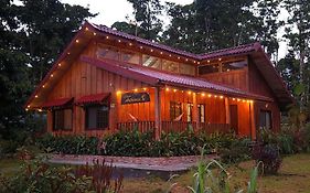 Casa Arthémis - Rainforest Lodge